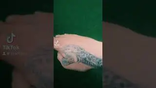 Отправь своему Бро #брат #юмор #тату #мем #змея #приколы #германия