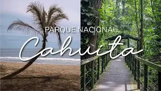 Explorando el Parque Nacional Cahuita | Un mono se comió mi almuerzo | Costa Rica 🇨🇷