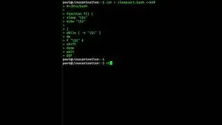 Bash Sleep Sort