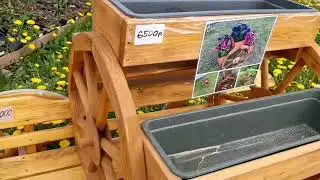 Питомник ГОРЧУХИНО , г.Наро -Фоминск .  🧚‍♂️