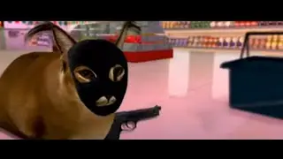 шлёпа ограбление пятёрочки