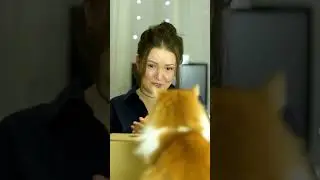 Кошка арбузер 🐱