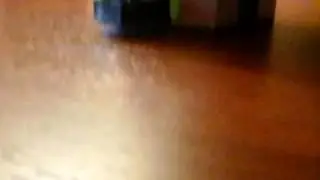 Самоделка