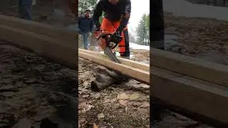 Milling Beam With Timber Tuff Chainsaw Mill #chainsaw #cuttingwood #chainsawmill #cabinbuild #beam