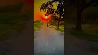O Meri Jind Meriye Main Dil Haar Gaya Hd Video|O Meri Jind Meriye Song|Main Dil Haar Gaya Full Song