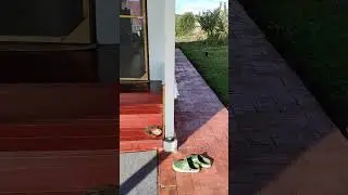 Отмостка вокруг дома. 2 сентября 2023 года.