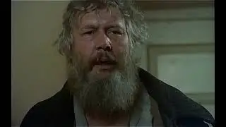 Польша. Фильм Знахарь , 1981г.