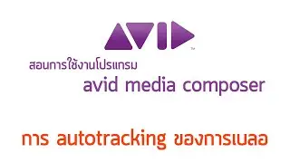 AVID MediaComposer  การ autotracking ของการเบลอจุดต่างๆ