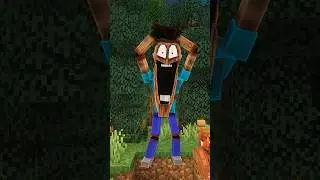 Minecraft 💀 