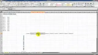 Excel Keyboard Shortcuts in Excel to Hide, Unhide, Insert and Delete Cells, Columns and Rows