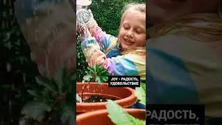Садоводство