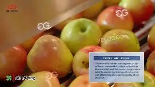 Apple Washing Grading Machine Video #apple  #washing