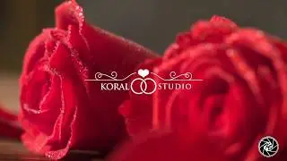 Wedding day/ Руслан & Екатерина  / Сборы  - свадебный клип Видео фотосъемка Луганск