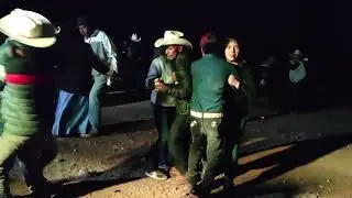 Lobo salvaje - laurita garza🎶