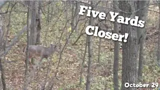 Wisconsin Buck Encounter on Public Land! Buck Needed to be Five Yards Closer!