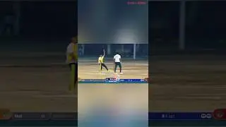 best catch at point in cricket #cricket #bestcatch #animalmovie #circketshorts