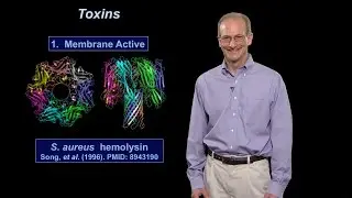 Ralph Isberg (Tufts U / HHMI) Part 1: What Distinguishes a Pathogen from a Non-Pathogen?