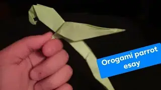 Origami - How To Make a Paper Parrot