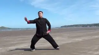 About leg out in Tai Chi Lao Jia