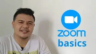 Basics of Zoom Teleconference App on Android