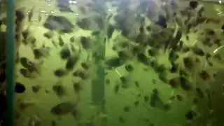 Мой малёк!