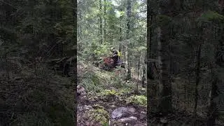 Застрял в деревьях 🫣