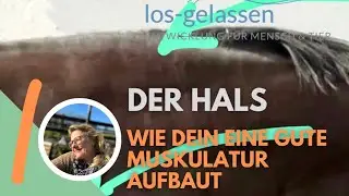 Der Hals | so erreichst du eine tolle und korrekte Muskulatur