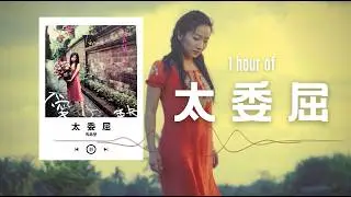 陶晶瑩【太委屈】1 Hour Loop Music ♾️一小時循環播放♾️