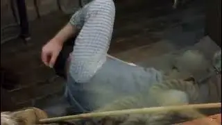 GET DOWN FOR YOUR LIFE