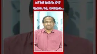 ఒక పేడ పురుగు  సాలె పురుగు పక్షి మానవుడు...#shorts