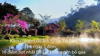 Kinh nghiệm du lịch tự túc Đà Lạt 4 ngày 3 đêm-10 điểm hot nhất Đà Lạt không nên bỏ qua