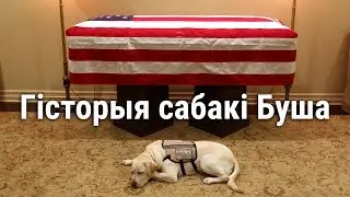 САБАКА, ЯКІ СЛУЖЫЎ ПРЭЗЫДЭНТУ ЗША | История собаки, служившей президенту США