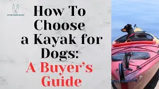 How To Choose a Kayak for Dogs: A Buyer’s Guide