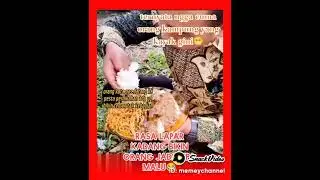 lapar bikin orang lupa diri dan hilang rasa malu