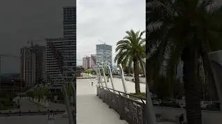 Прогулка по #batumi #georgia #travel #прогулкассобакой #beach #ретривер #shorts