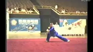 1995年全国武术套路锦标赛（传统项目）06 13