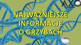 16. Grzyby