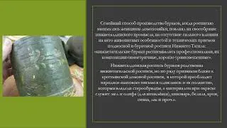 Бурачный промысел