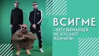 ВСИГМЕ: «Вегетарианцев не кусают комары»