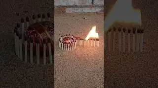Experiment With VIP Bomb 