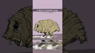 Squonk and Veggieman Fallout Lore