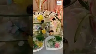 Wedding In Pakistan By amna omer cooking show