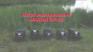 Насос электрический GP 80 Марлин