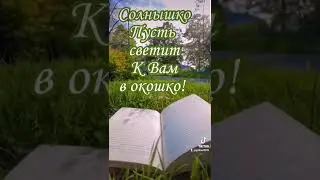 Да, зарасти оно всё ромашками!