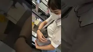 Viral!!! Cewek Cantik Menyusui Kucing Di Mall 