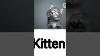 Animals And Their Young Ones In English|Animals And Their Young Ones With Images And Spellings.
