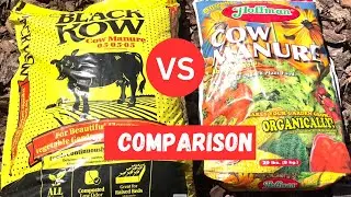 Black Kow VS Hoffman Cow Manure Comparison Video:  Similarities and Differences