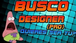 NECESITO DESIGNER (DISEÑADOR) :p