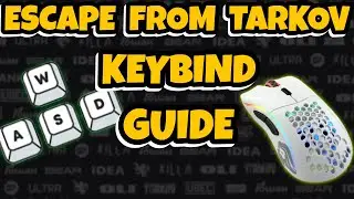 Keybinds For New Players & Tech That Will Give You The UPPER HAND In EVERY Gunfight!