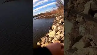 Northern Pike PB!!! video out now #fishing #shorts #youtubeshorts #iowa #like #fish #ytshorts